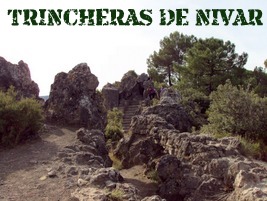 Nívar tricnheras de la Sierra de la Yedra
